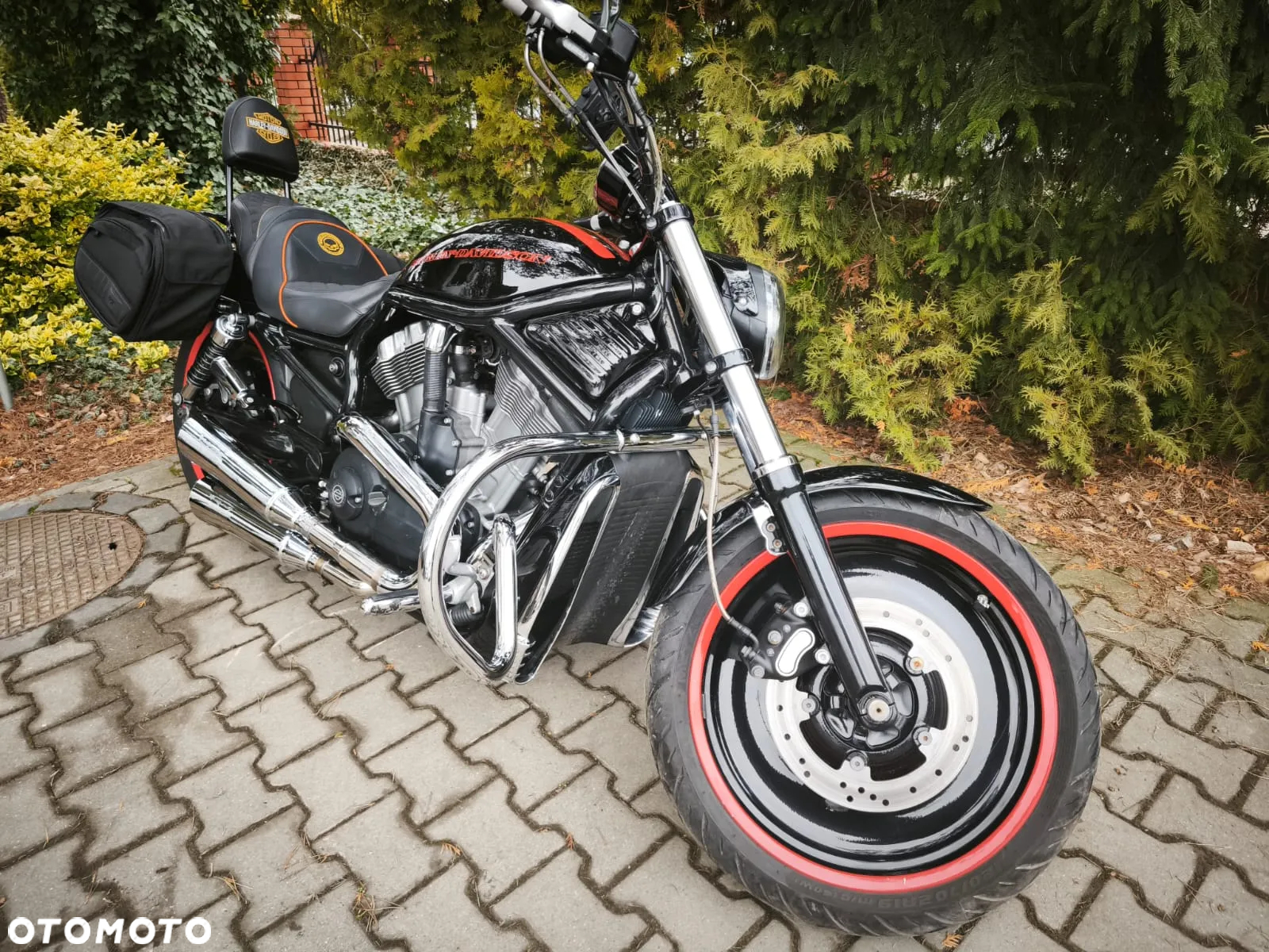 Harley-Davidson V-Rod Street Rod - 4