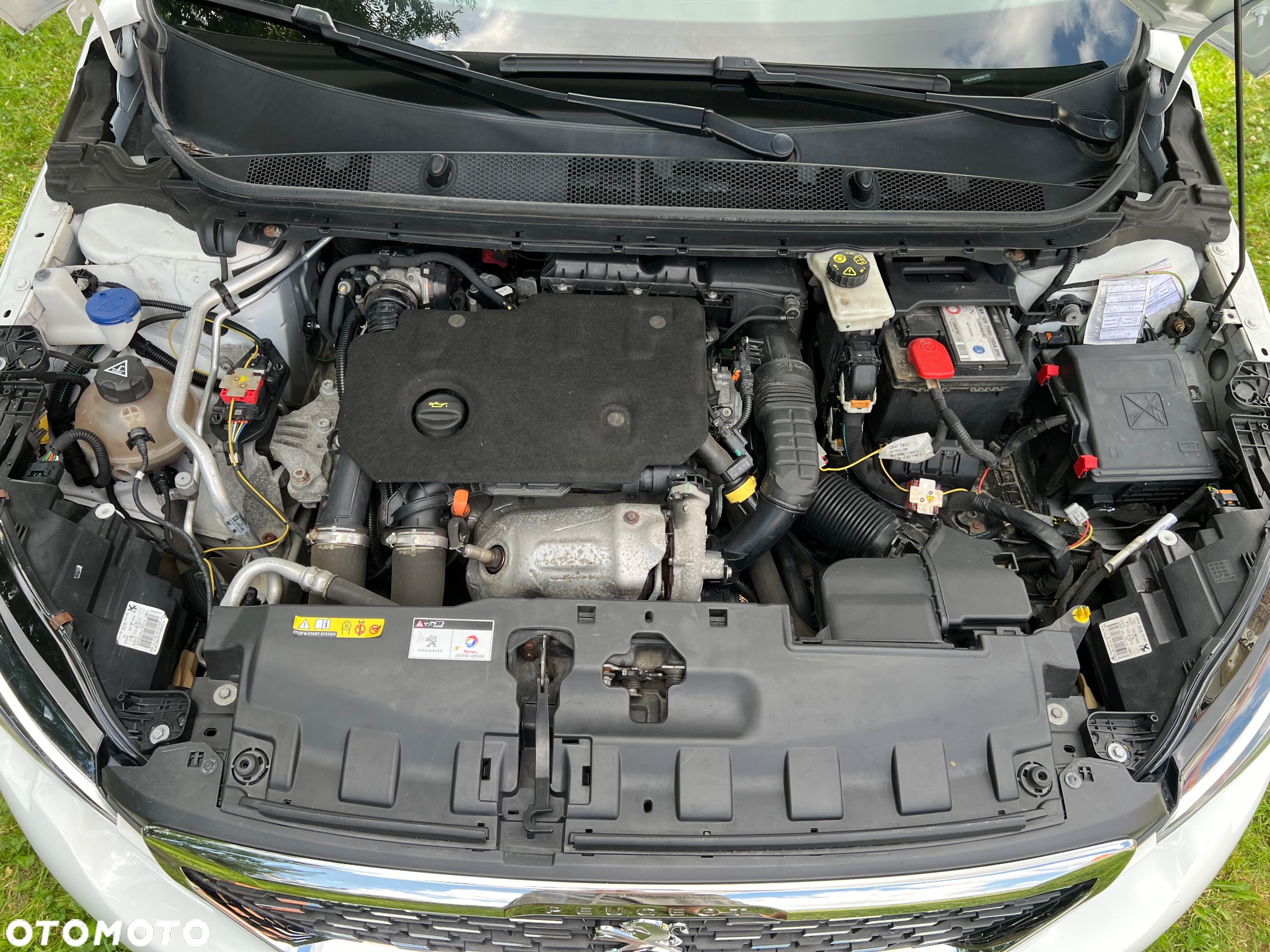 Peugeot 308 1.5 BlueHDi Allure S&S - 12
