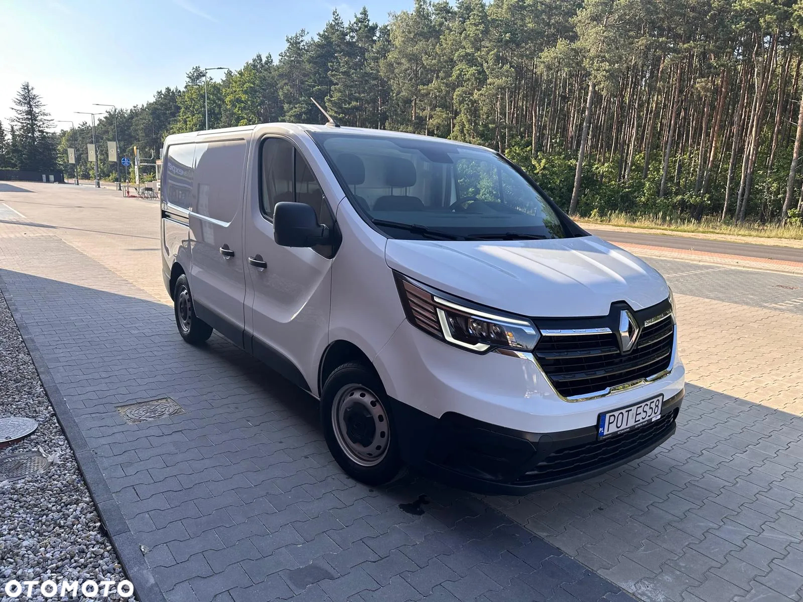 Renault Trafic - 30