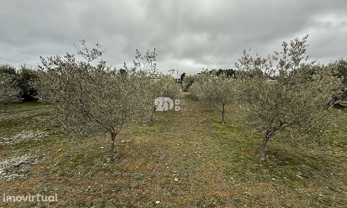 Terreno 5860m² - Pinheiros - Grande imagem: 3/26