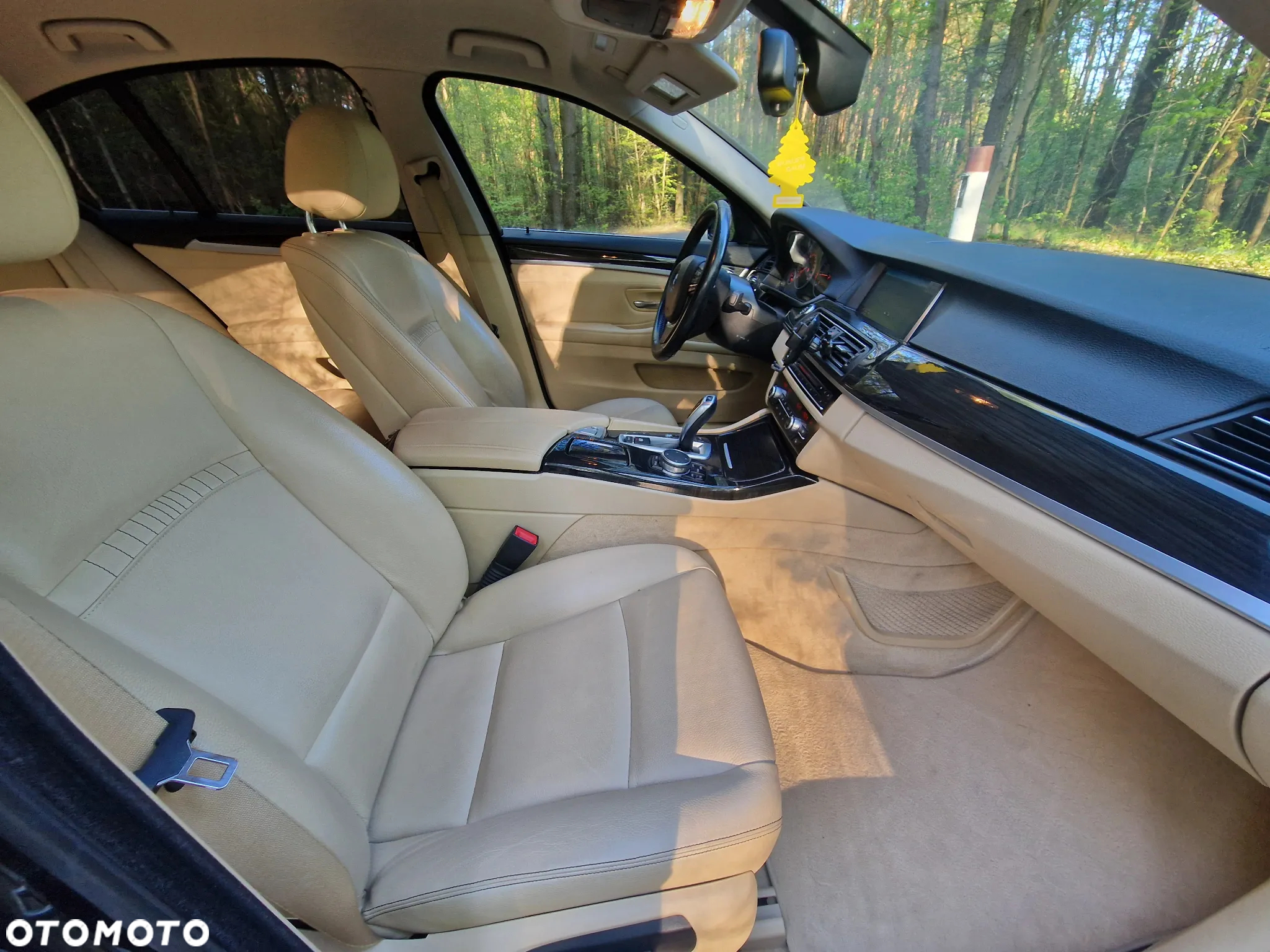 BMW Seria 5 520d Luxury Line sport - 24