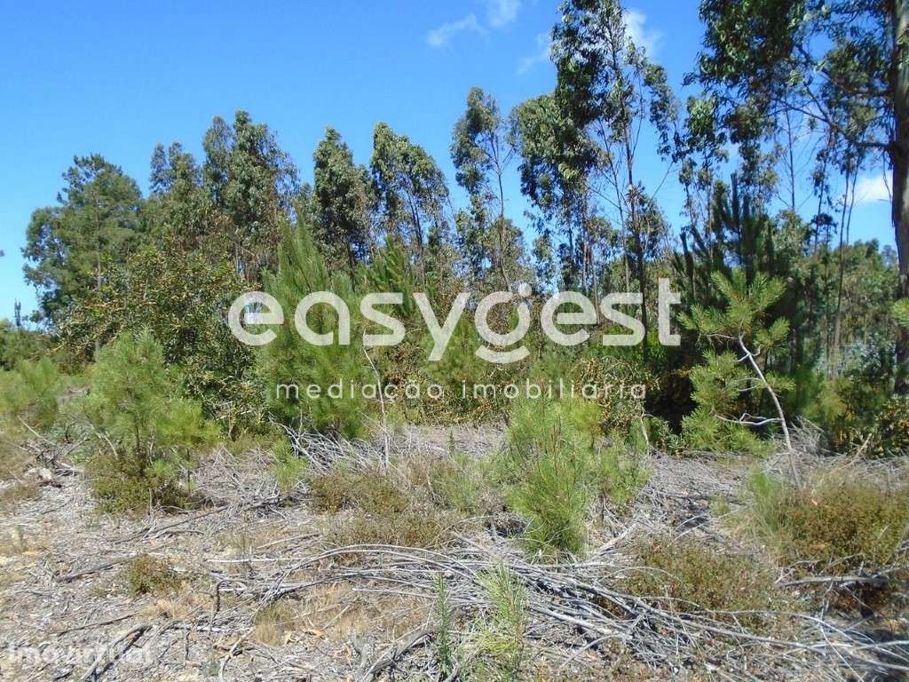 Terreno com 2630m2 a poucos Kms da Praia das Paredes da Vitória - Grande imagem: 2/15