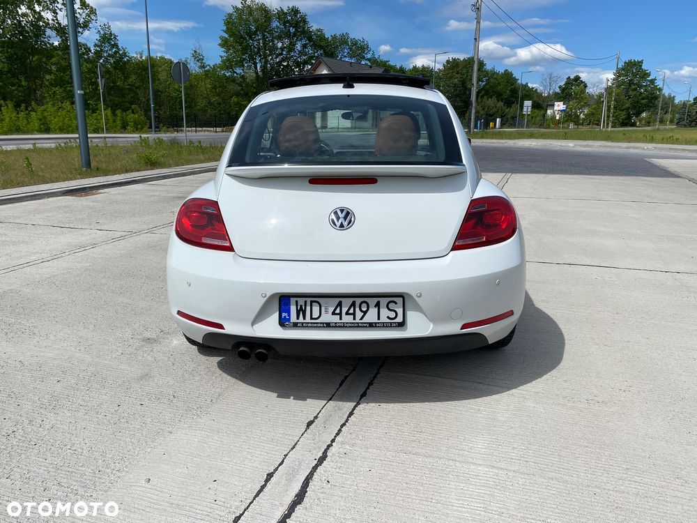 Volkswagen Beetle - 6