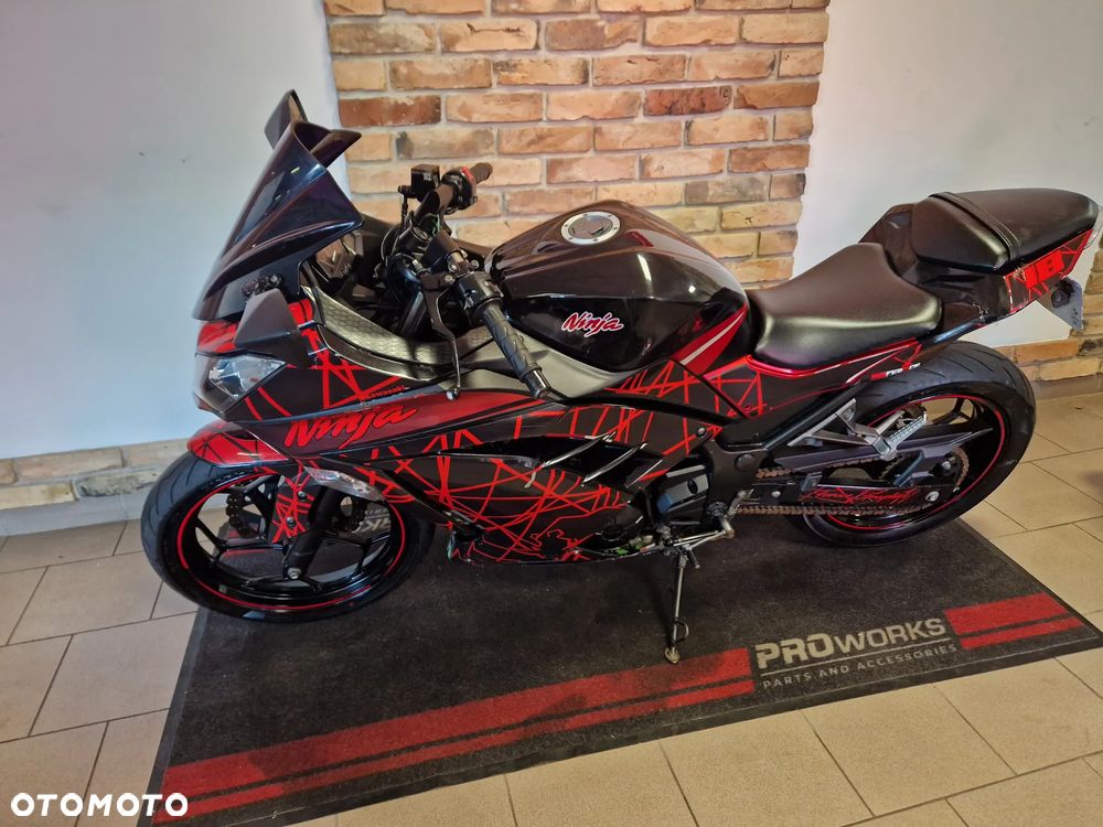 Kawasaki Ninja 300 ABS - 6