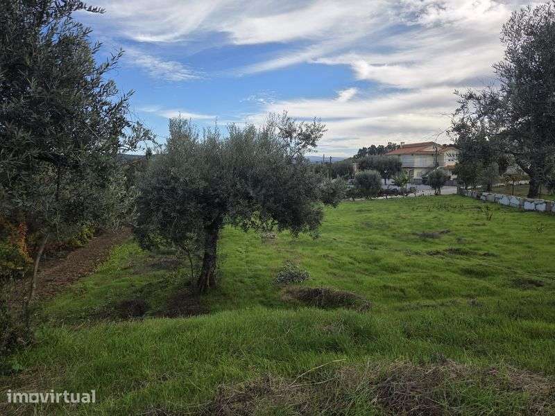 Vendo terreno urbanizavel - 1000m2 - Oliveira, Pindo - Grande imagem: 3/6