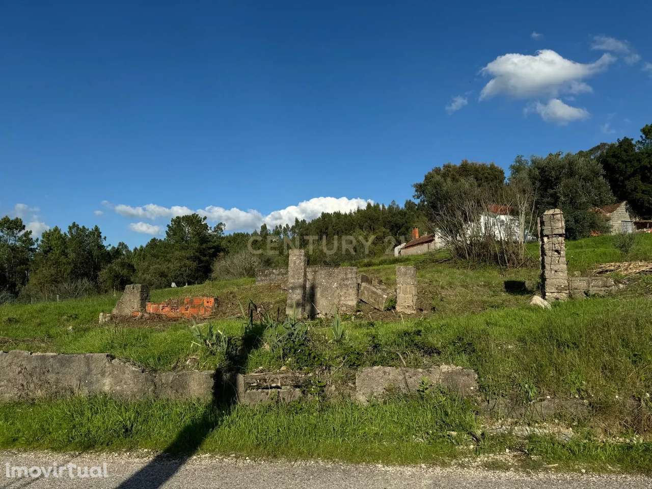 Moradia em ruina sita em Assanha da Paz - Grande imagem: 2/15