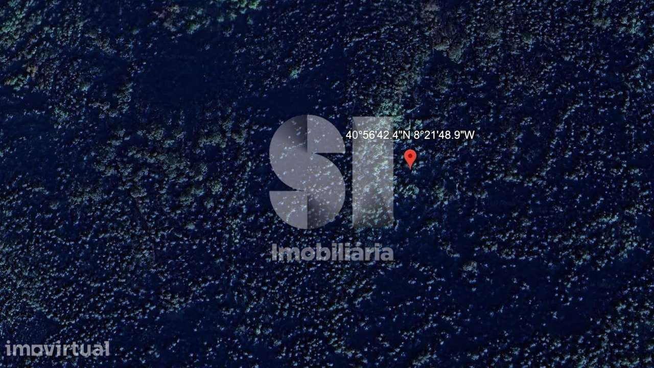 Terreno Rústico – 7.380 m² em Ambiente Natural - Grande imagem: 3/3
