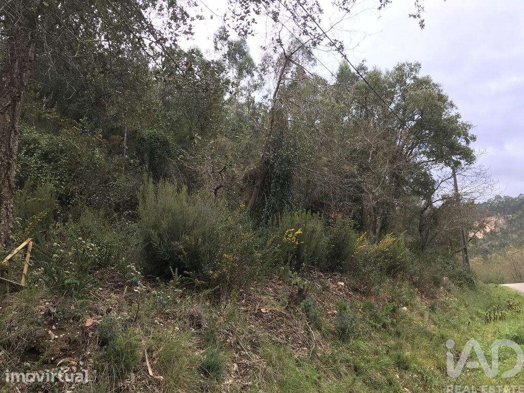 Terreno em Santiago e São Simão de Litém e Albergaria dos Doze de 840, - Grande imagem: 3/24