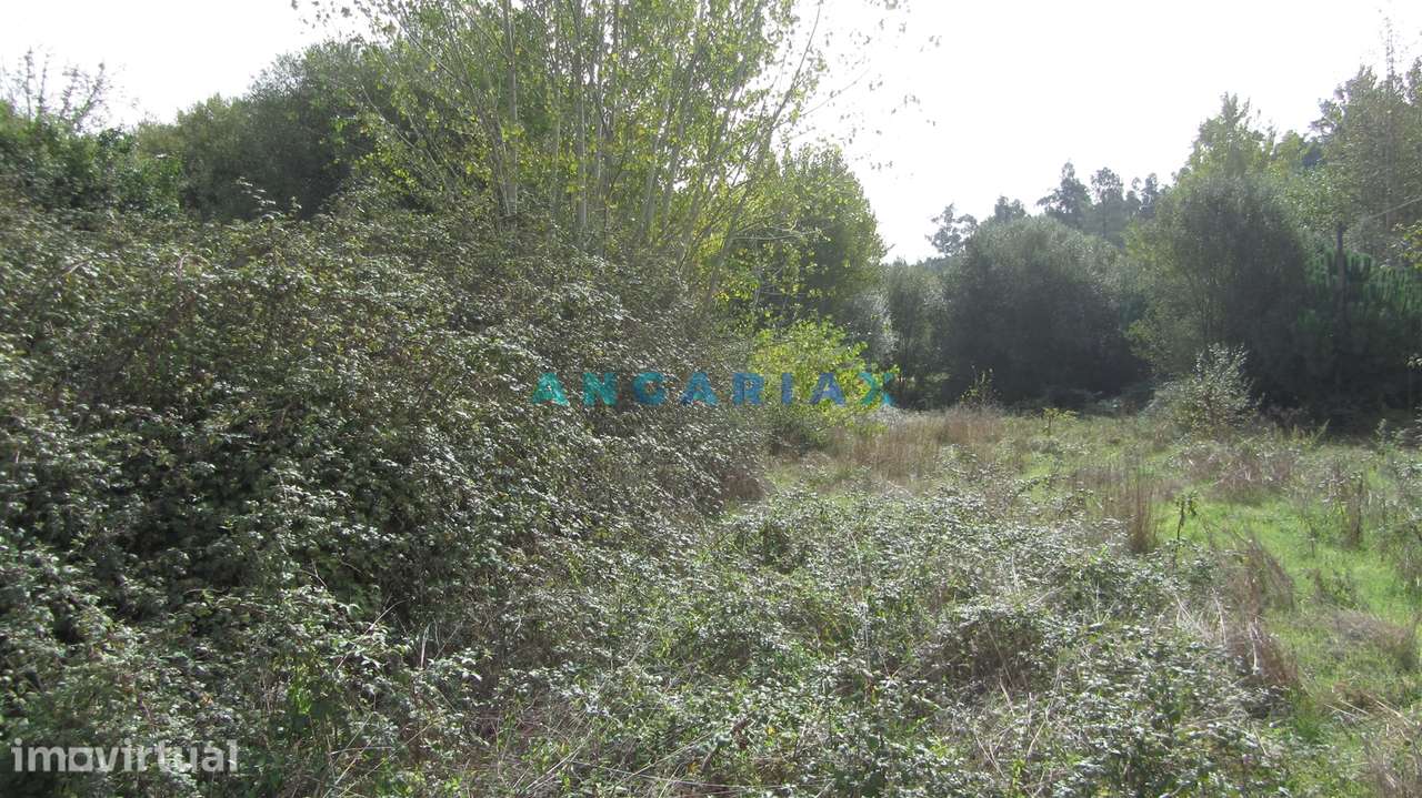 ANG593 - Terreno com 550m2 para Venda em Pombal - Grande imagem: 3/4