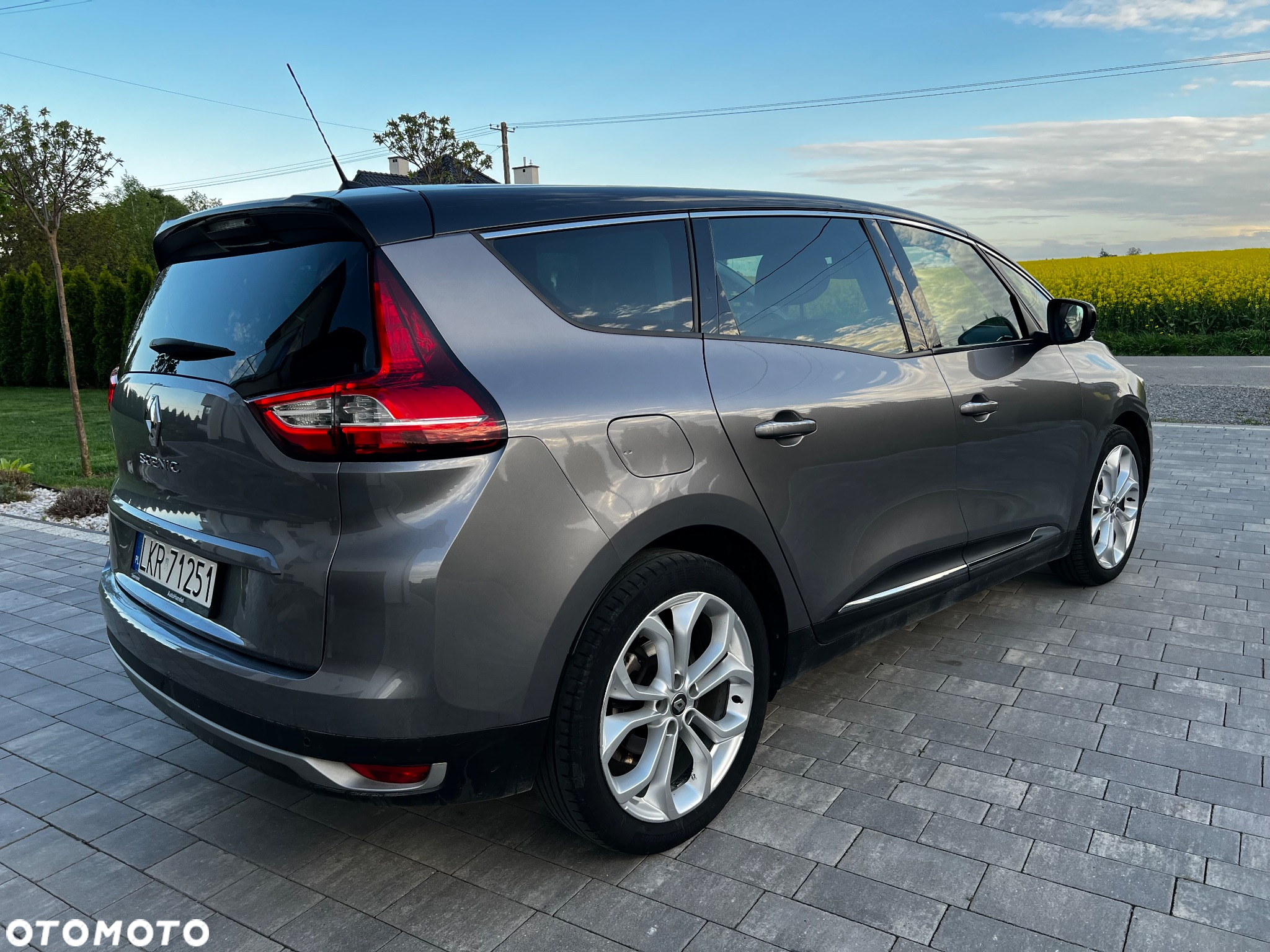 Renault Scenic - 13
