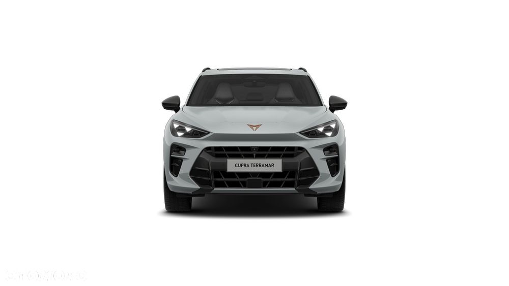 Cupra Terramar 2.0 TSI 4Drive Advantage Edition DSG - 5