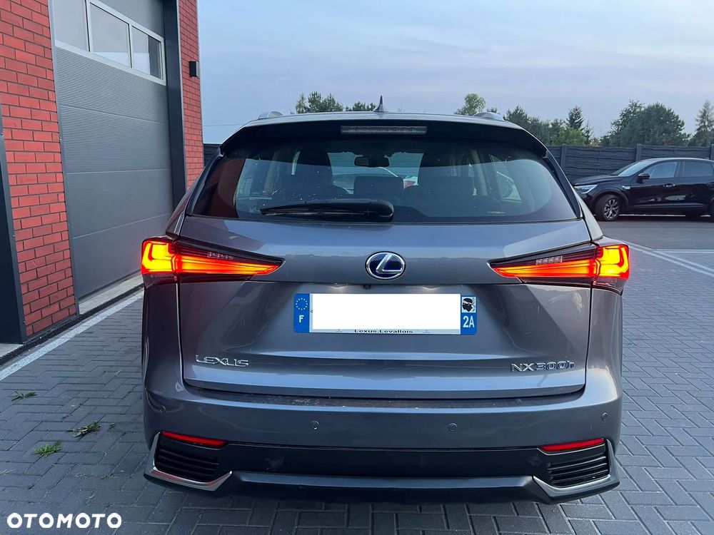 Lexus NX 300h - 21