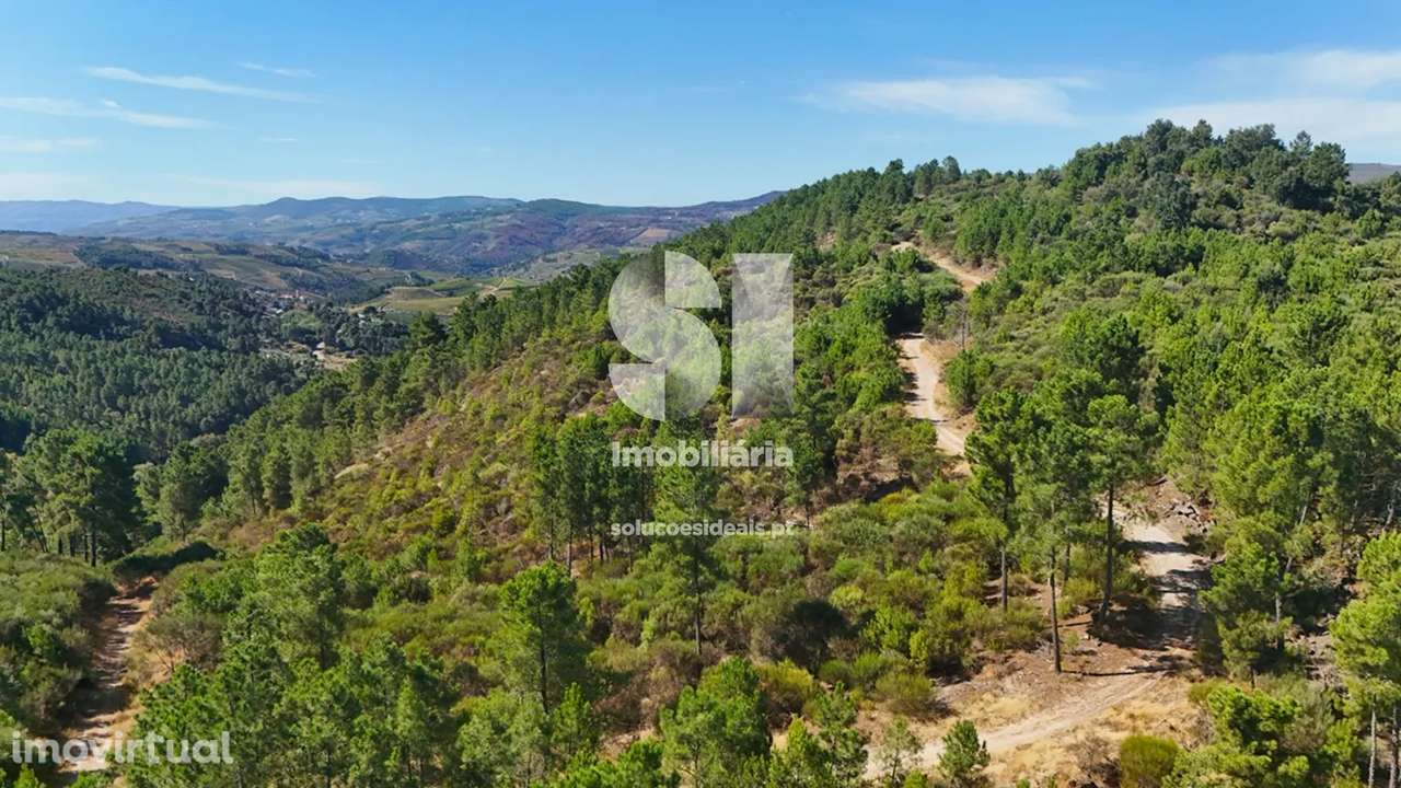 Terreno em Alijó - Grande imagem: 4/20