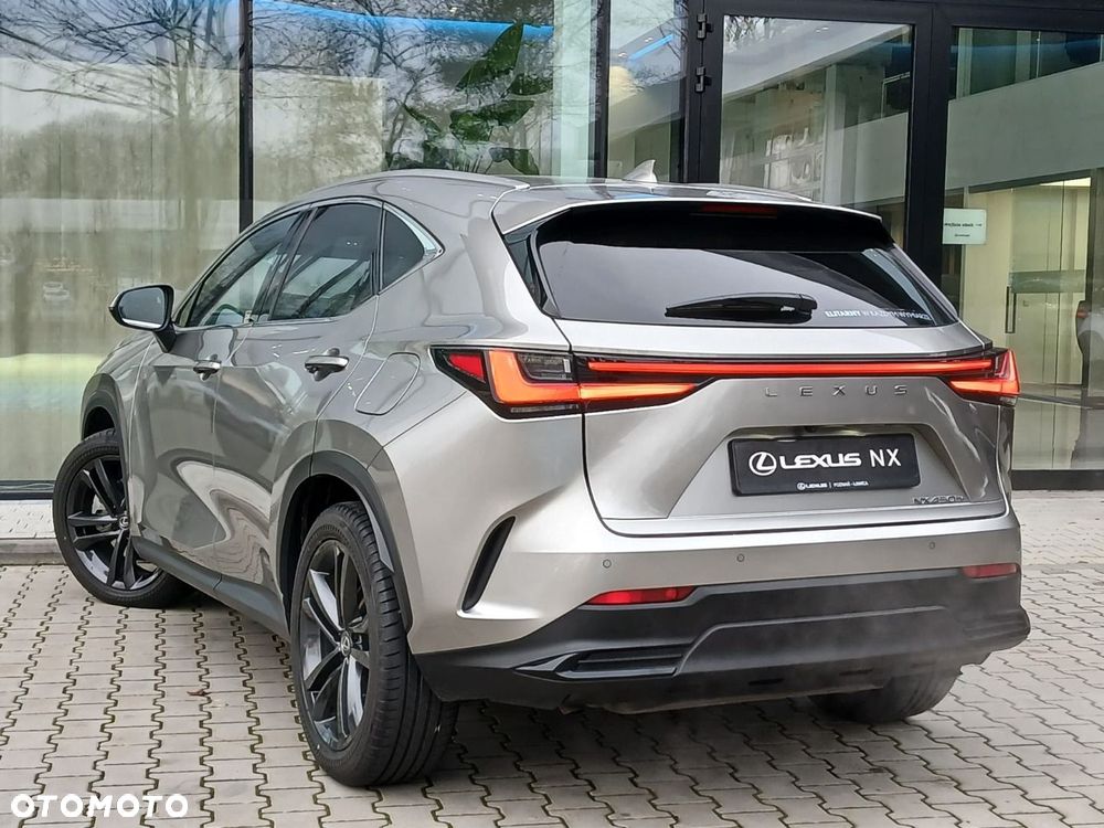 Lexus NX - 13