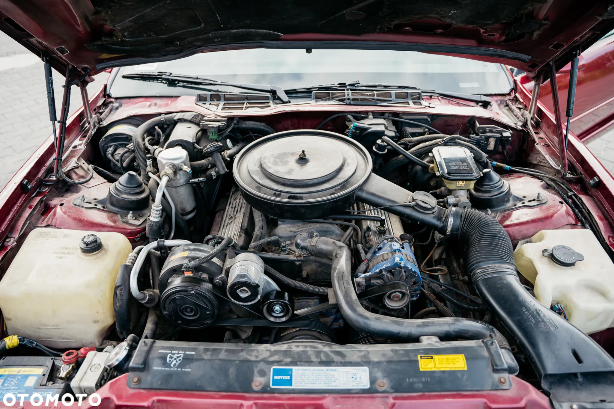 Pontiac Firebird - 15