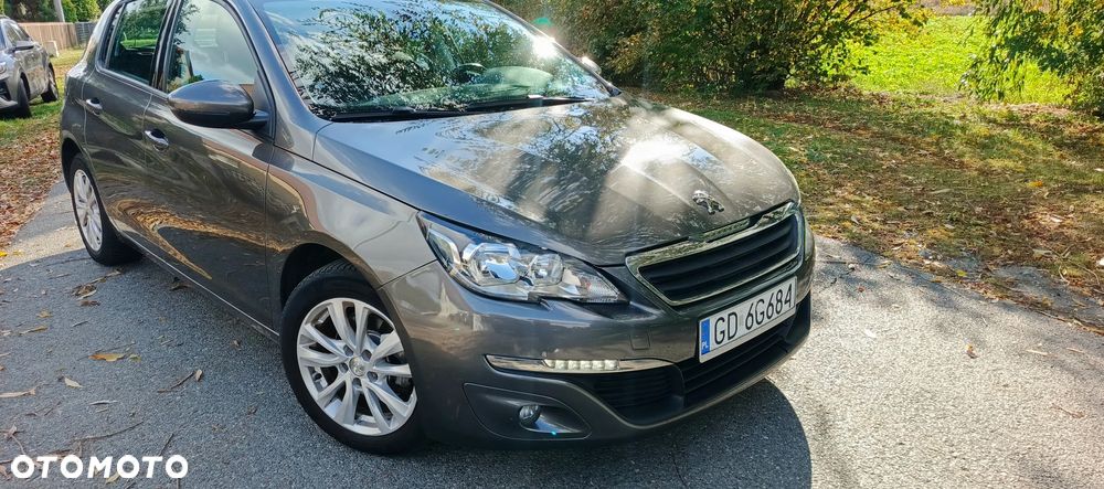 Peugeot 308 - 17
