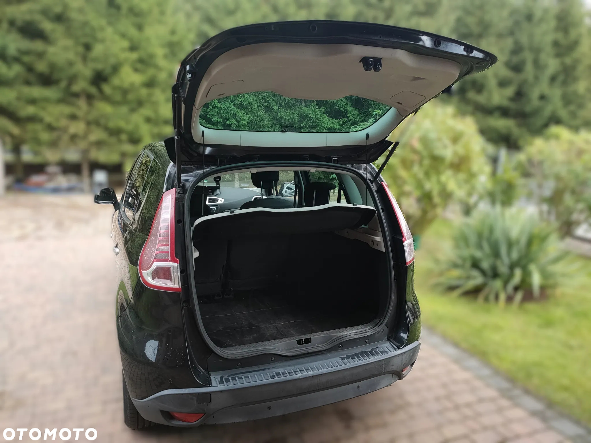 Renault Scenic - 5