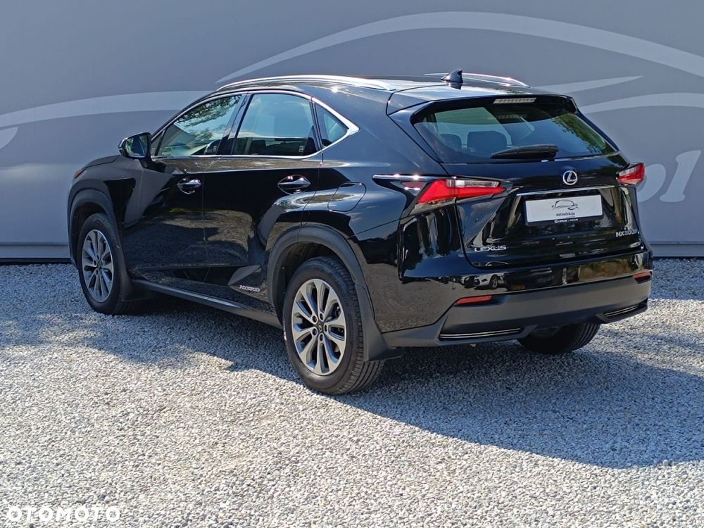 Lexus NX 300h Elite AWD - 23