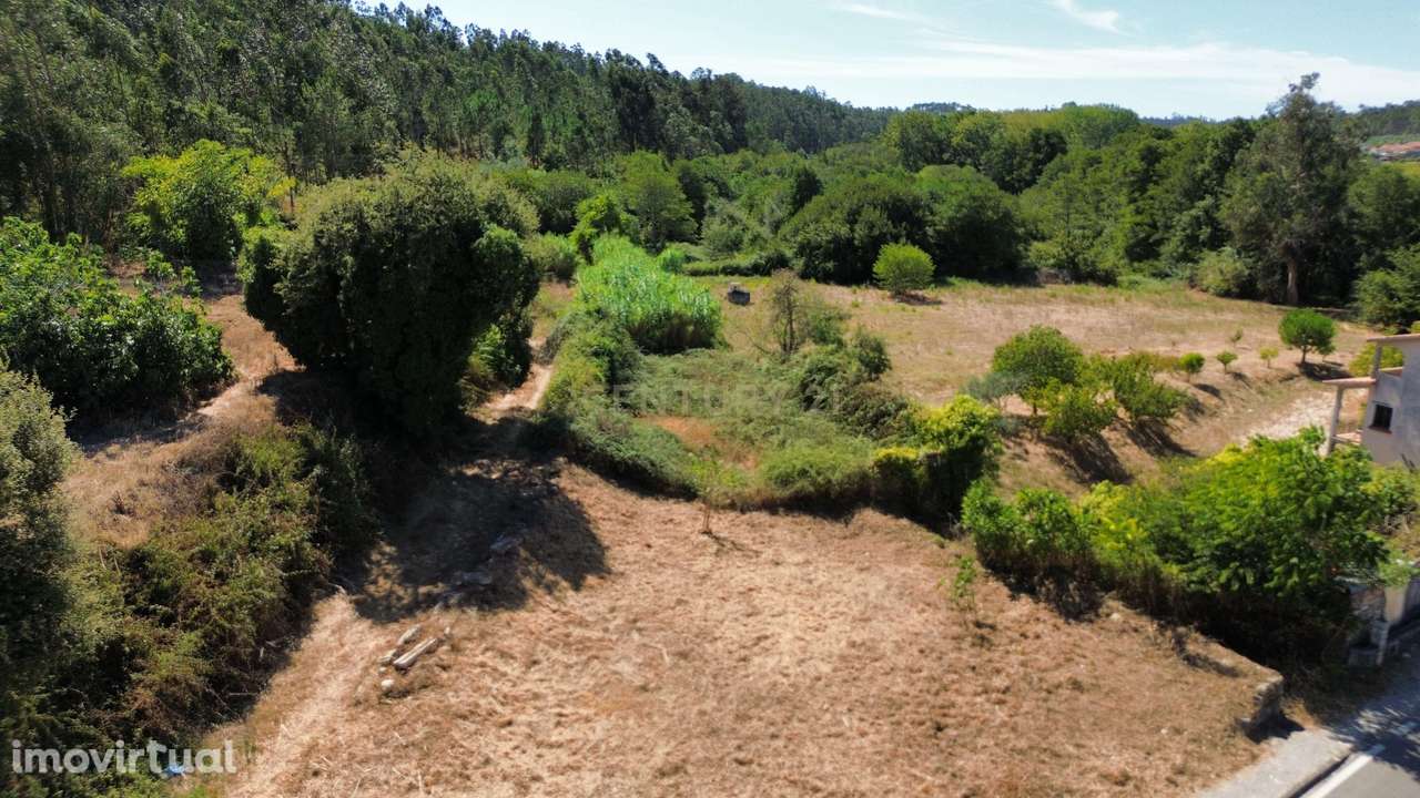 Terreno para arrendamento em Santorum, Pombal - Grande imagem: 3/12