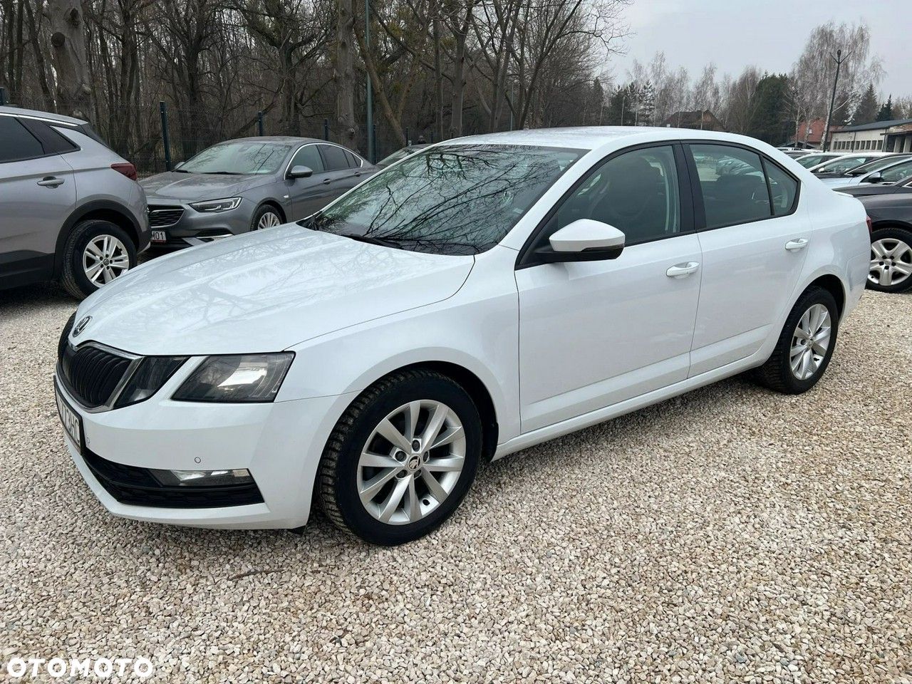 Skoda Octavia 1.6 TDI Ambition DSG - 1