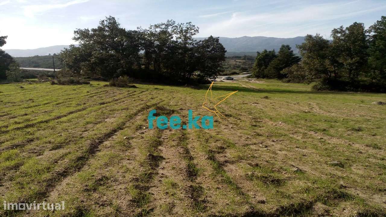 Terreno de 13 ha em Cova da Beira - Grande imagem: 3/16