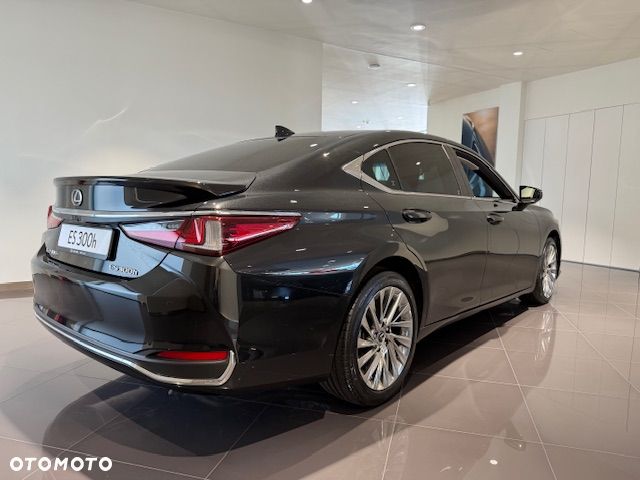 Lexus ES 300h Omotenashi - 4