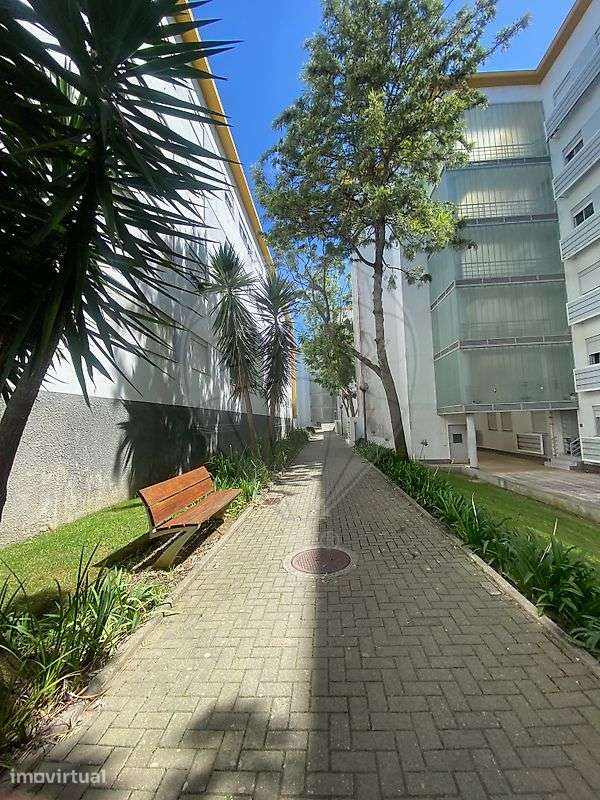 Apartamento T2 para arrendamento - Grande imagem: 3/22