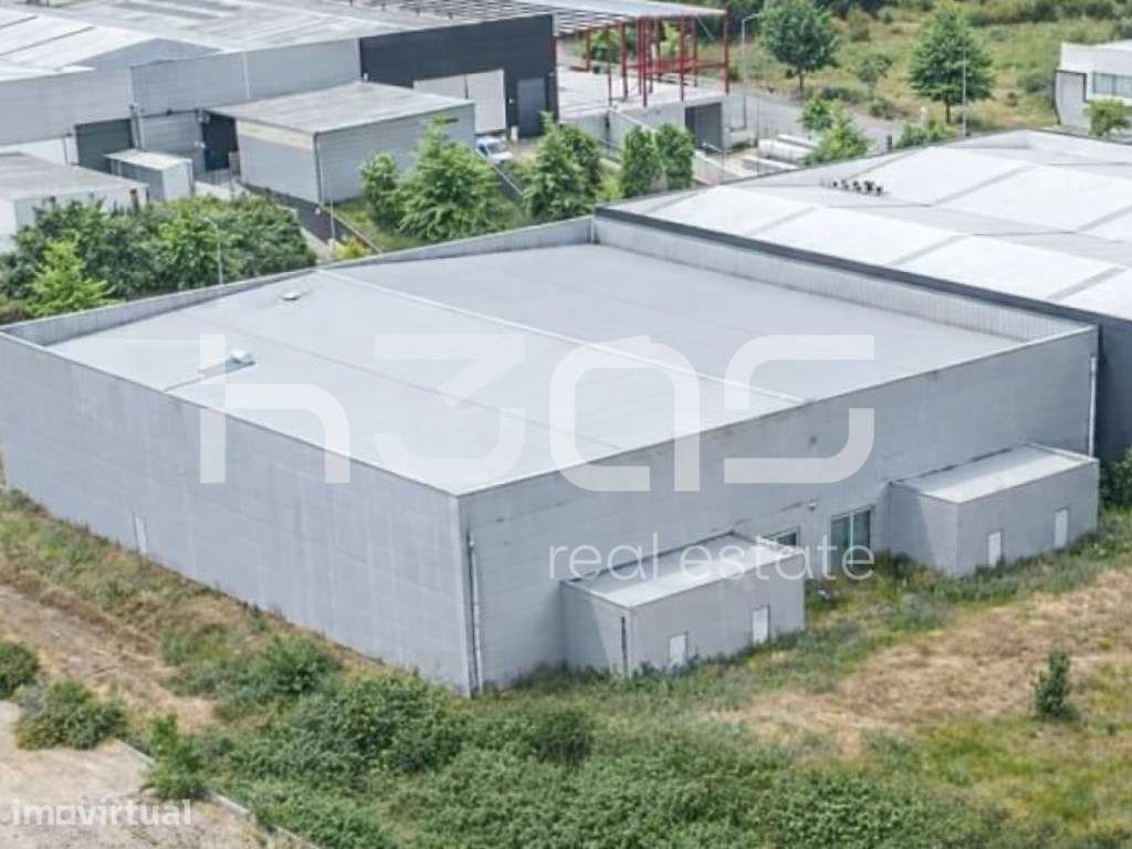 Pavilhão Industrial de Referência com Forte Capacidade Operacional - Grande imagem: 4/9