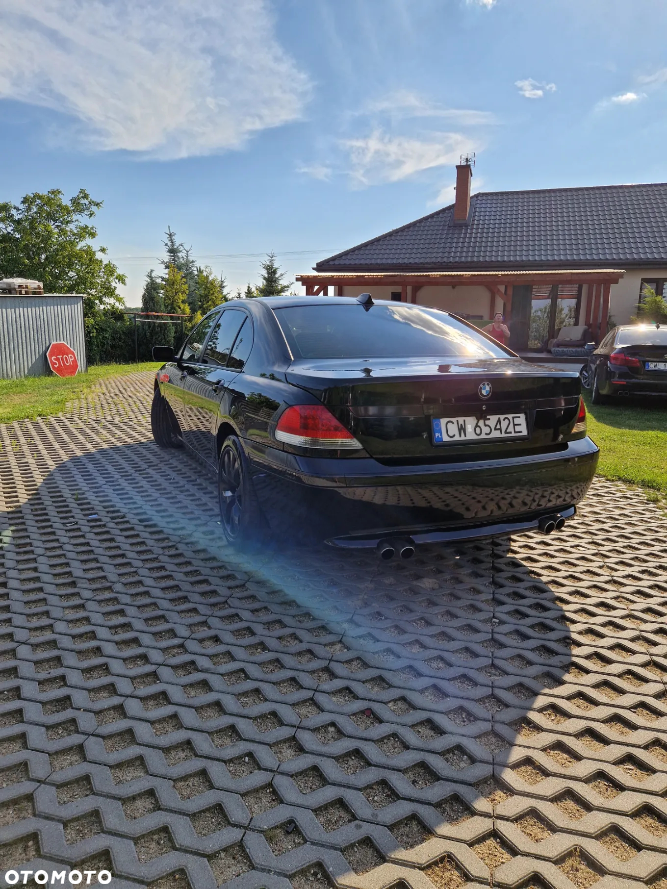 BMW Seria 7 745i L - 10