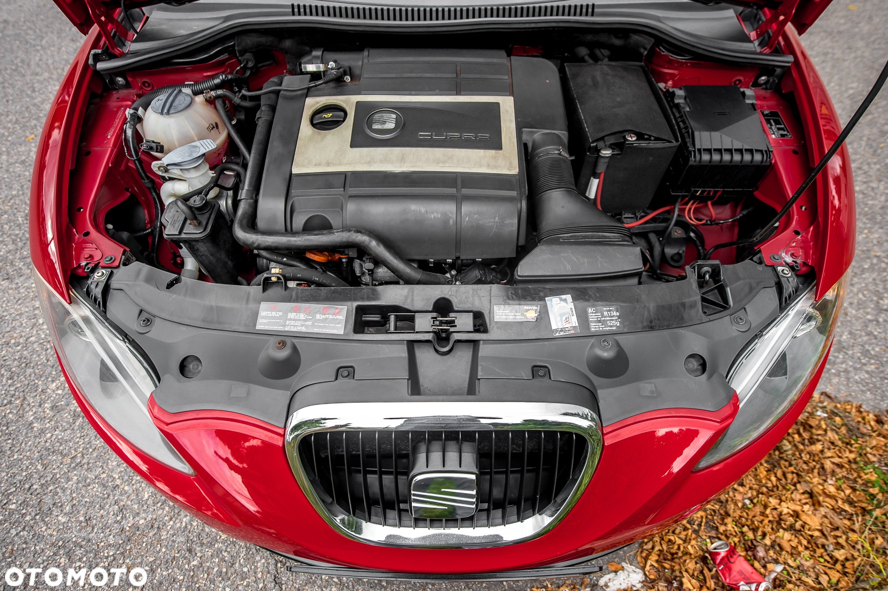 Seat Leon 2.0 T FSI Cupra - 31