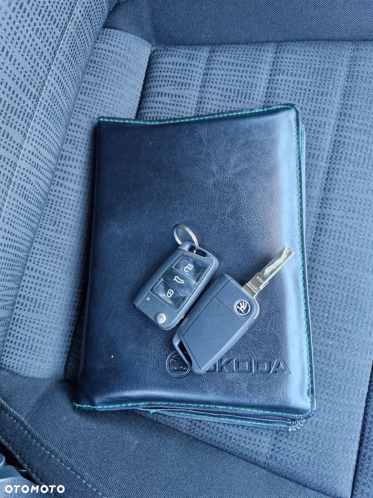 Skoda Octavia 1.8 TSI Edition DSG EU6 - 19