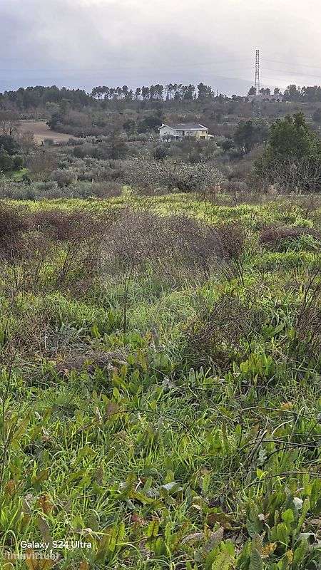 Terreno  para venda - Grande imagem: 4/11