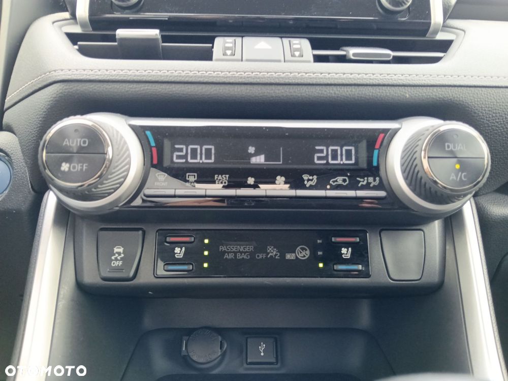 Toyota RAV4 2.5 Hybrid Executive 4x2 - 23