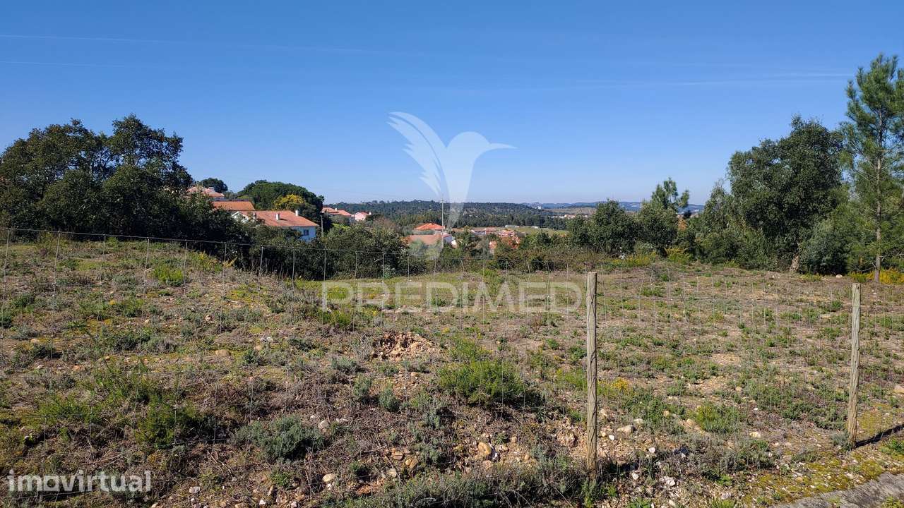 Terreno Rústico 8600 m² – pohled 5