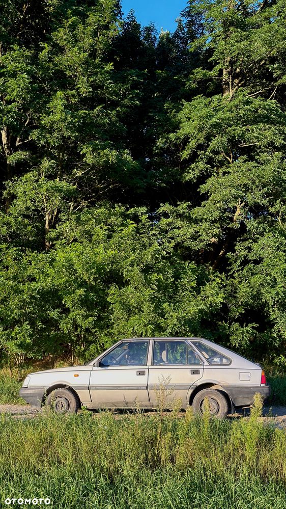 Polonez Caro - 10