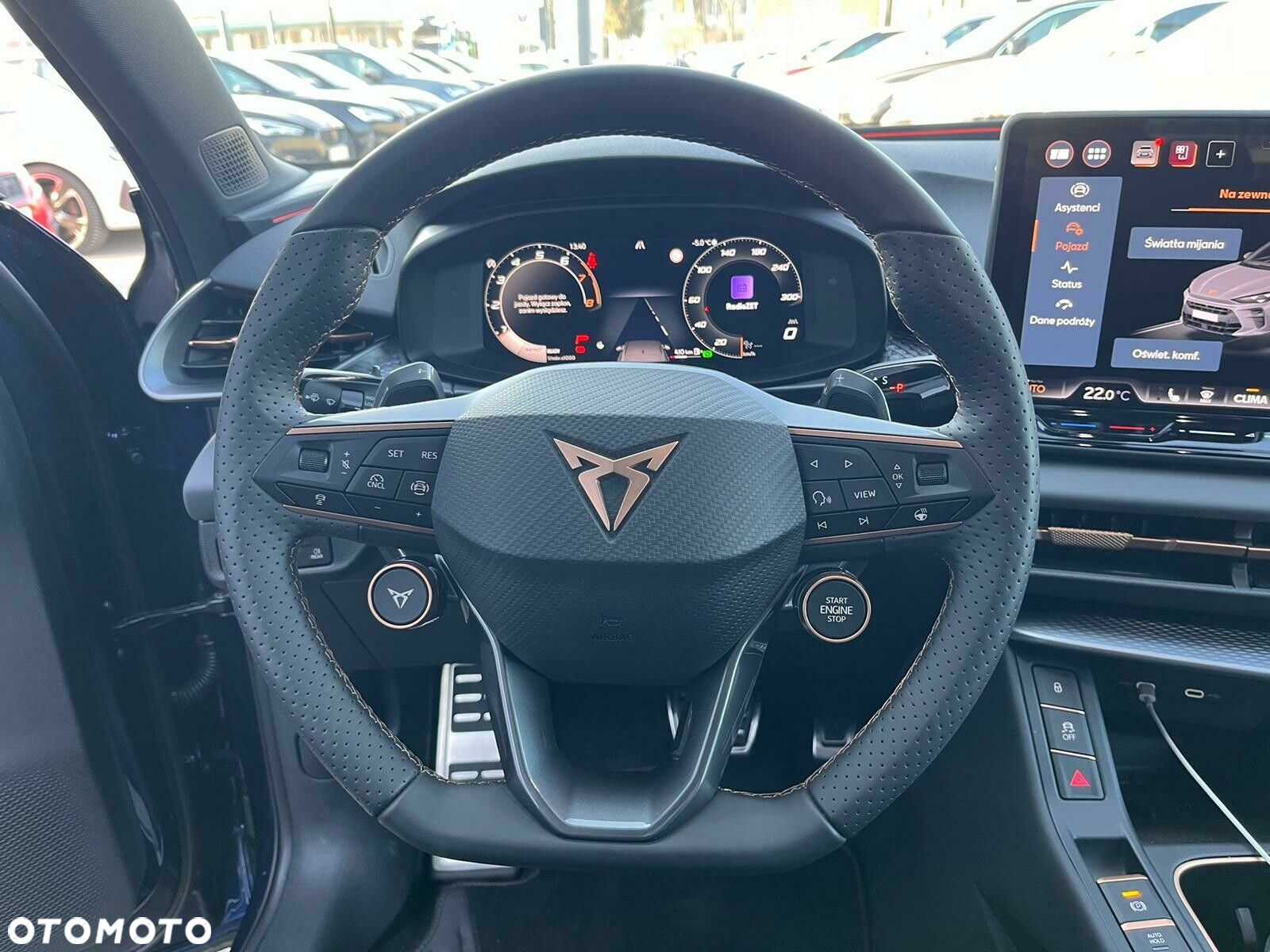 Cupra Terramar - 14