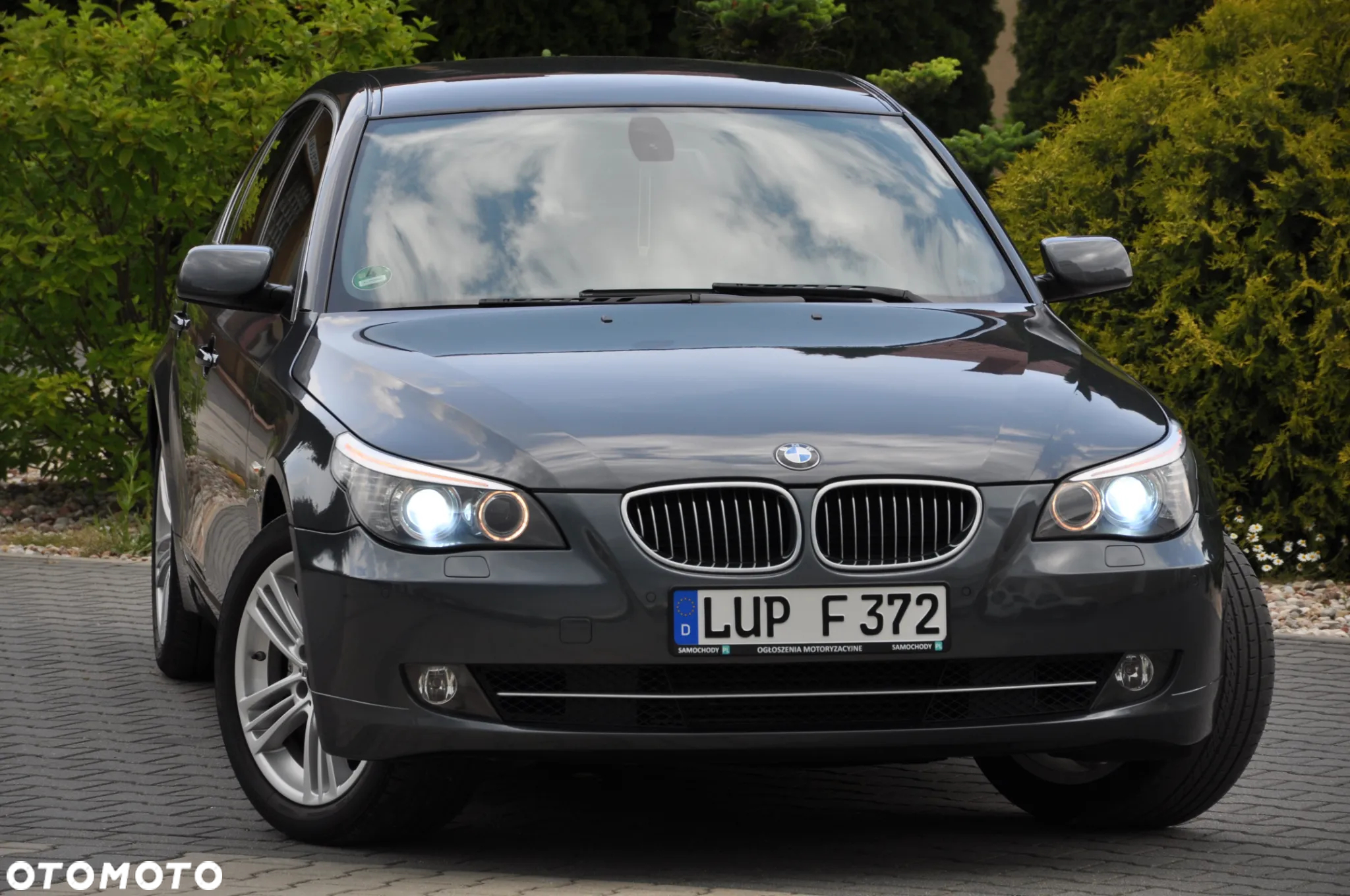 BMW Seria 5 - 10