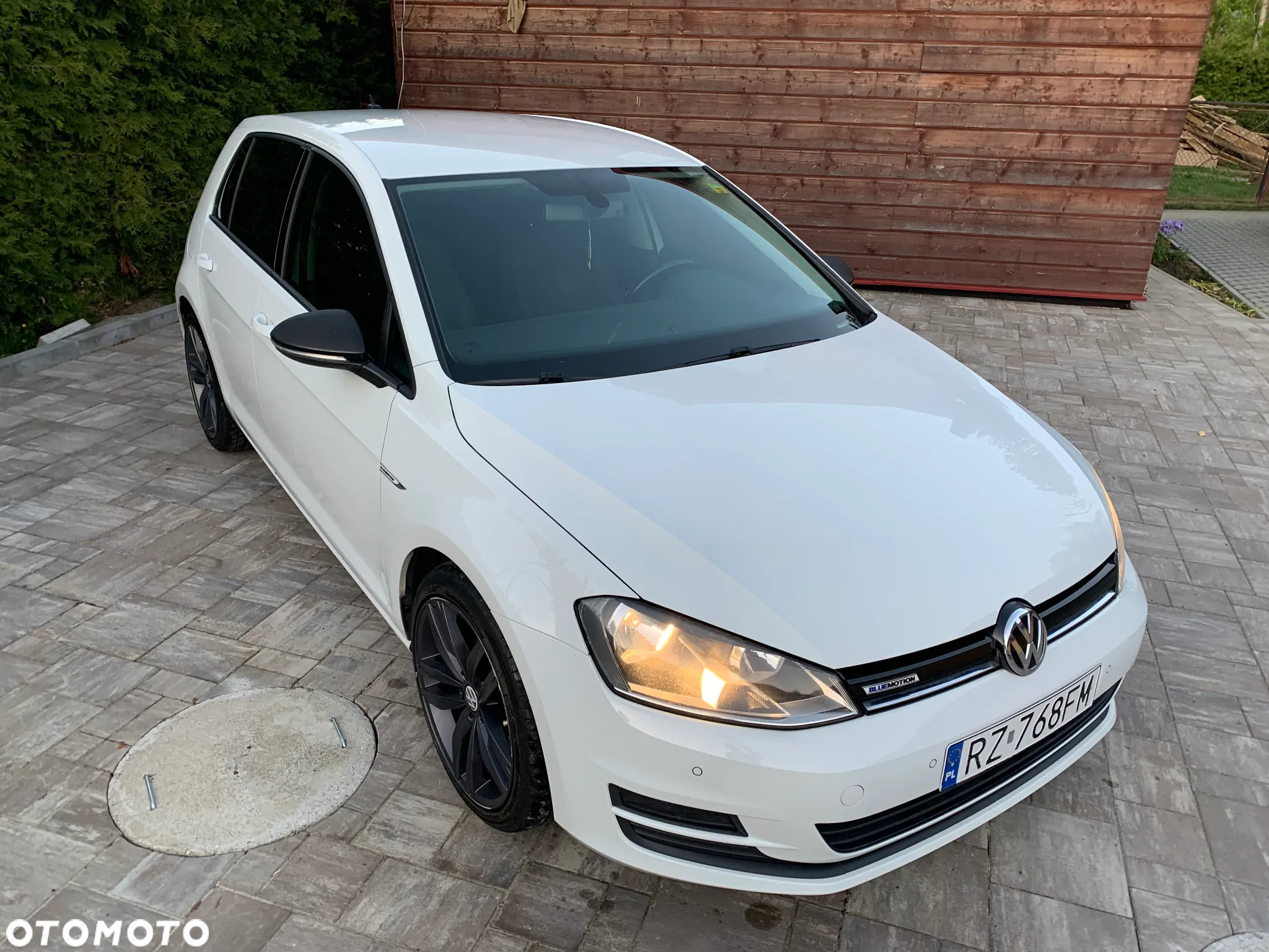 Volkswagen Golf VII 1.6 TDI BMT Comfortline - 7