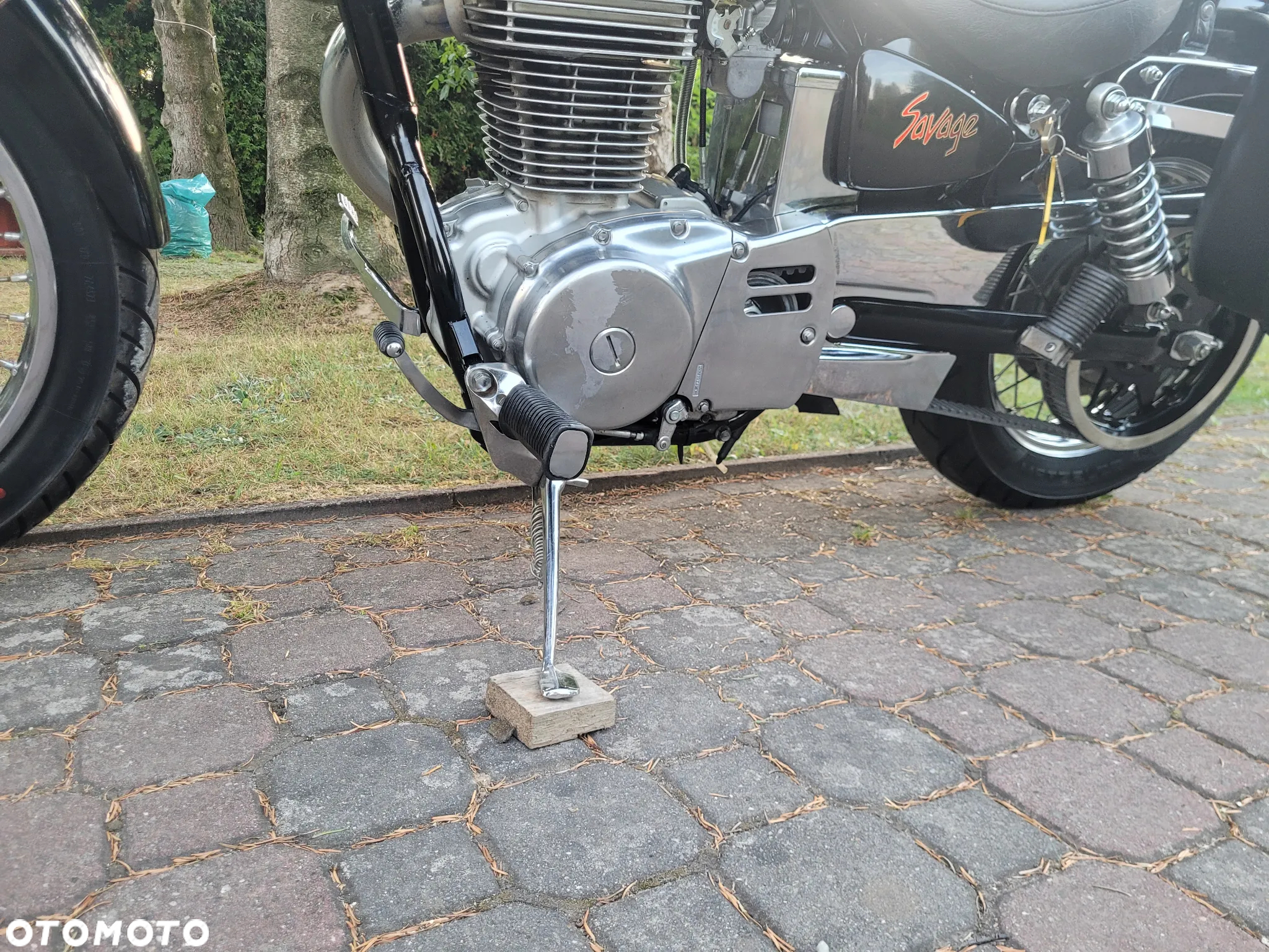 Suzuki Savage - 22