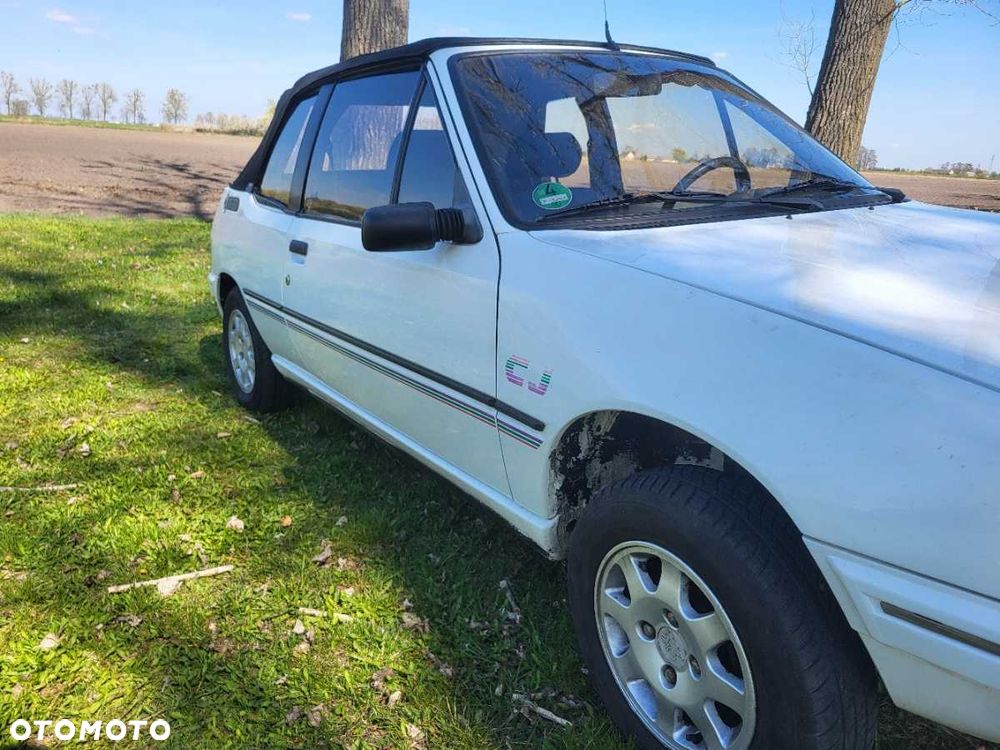 Peugeot 205 - 5