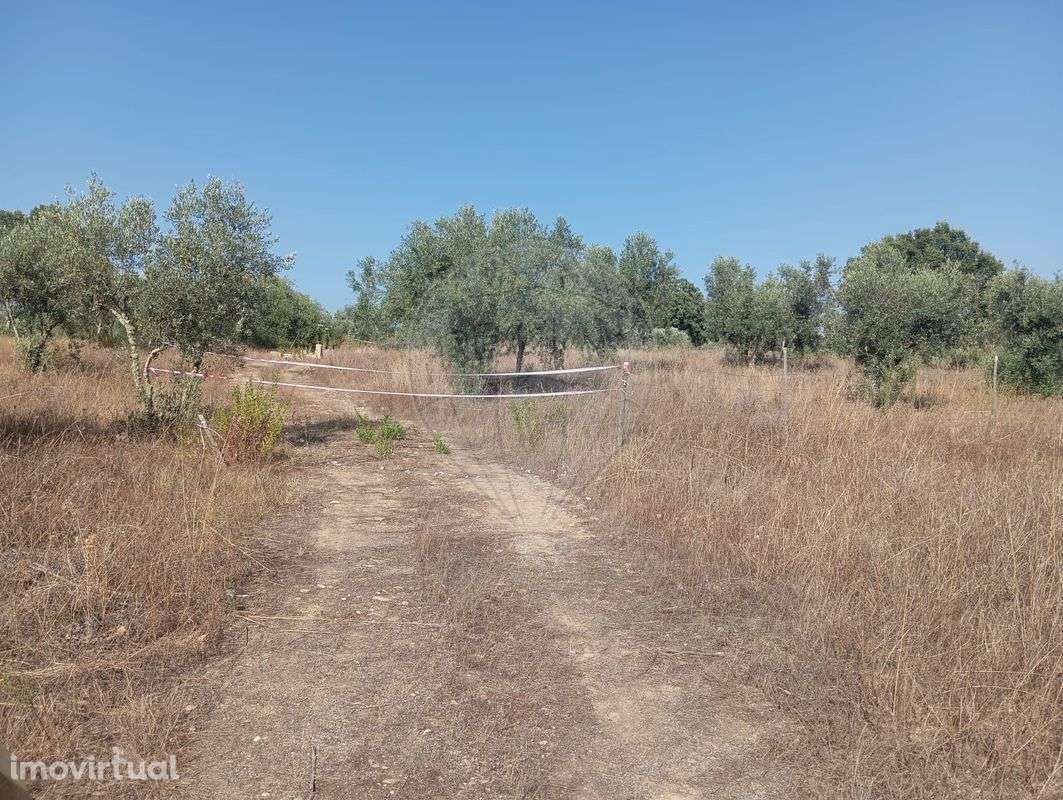 Terreno  para venda - Grande imagem: 3/6