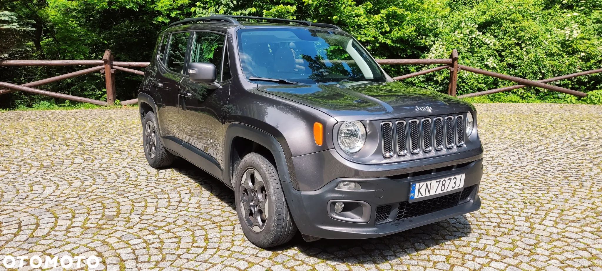 Jeep Renegade 1.6 E-torQ Sport - 1