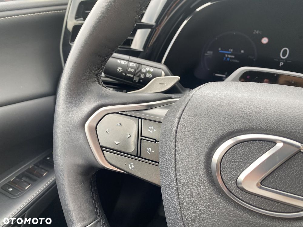 Lexus RX - 24