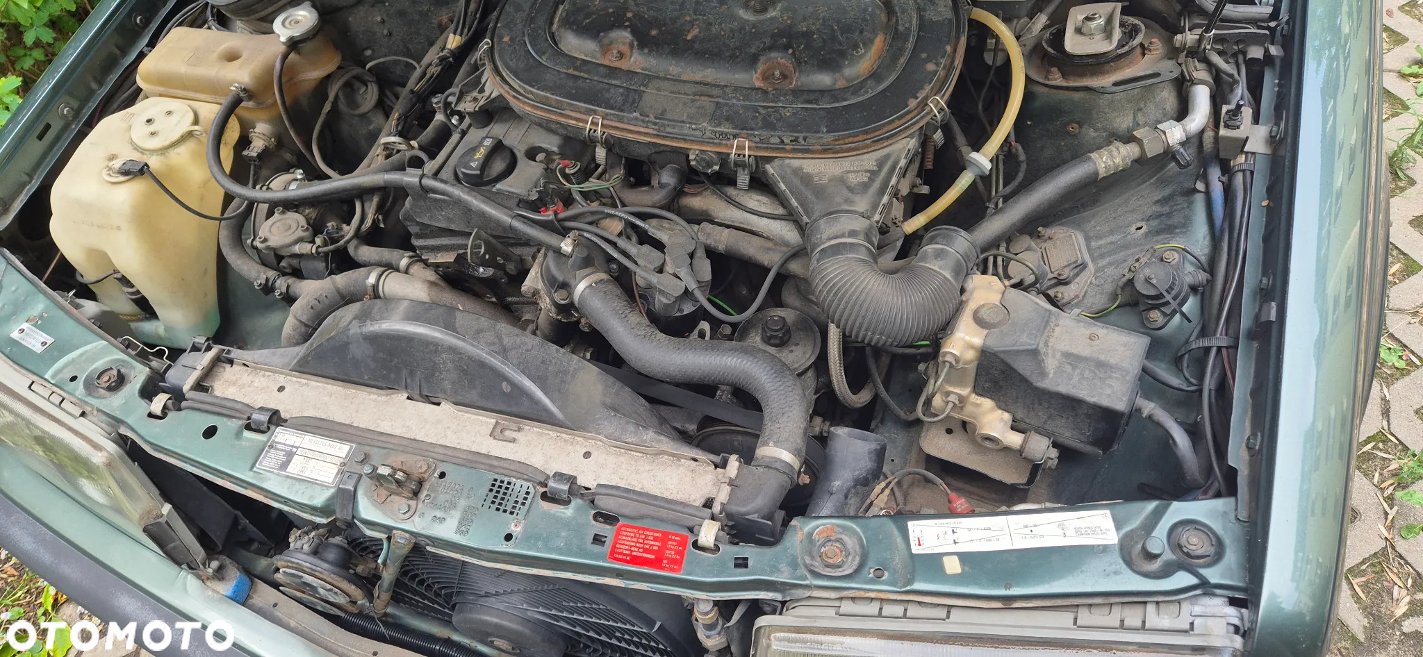 Mercedes-Benz W201 (190) - 10