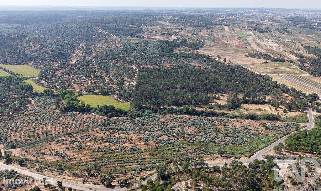 Terreno em Alpiarça de 462520,00 m2 - Grande imagem: 3/14