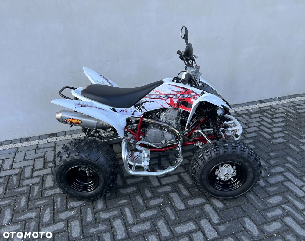 Yamaha Raptor - 4