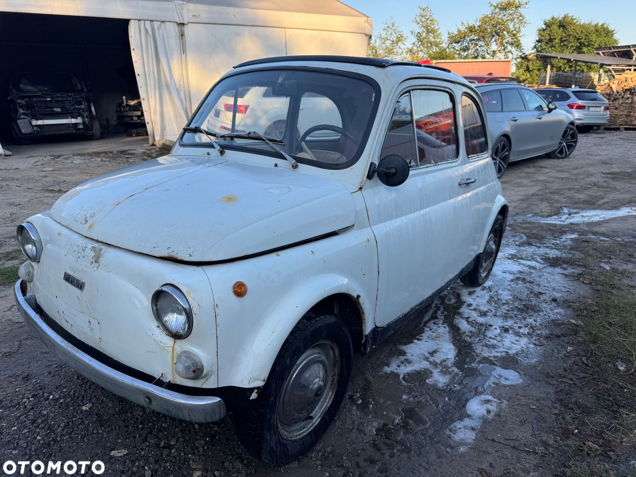 Fiat 500 - 1