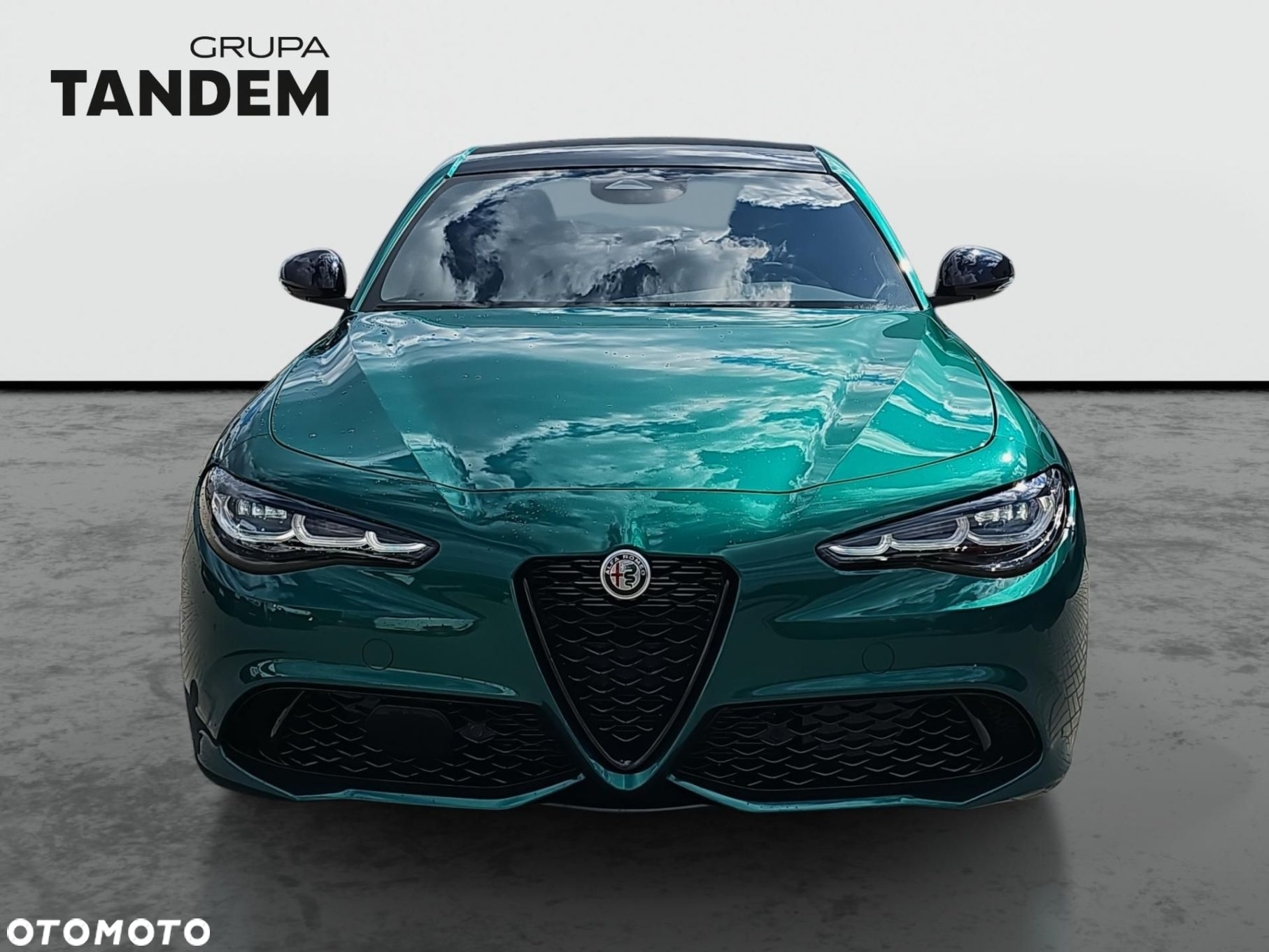 Alfa Romeo Giulia 2.0 Turbo Intensa Q4 - 2