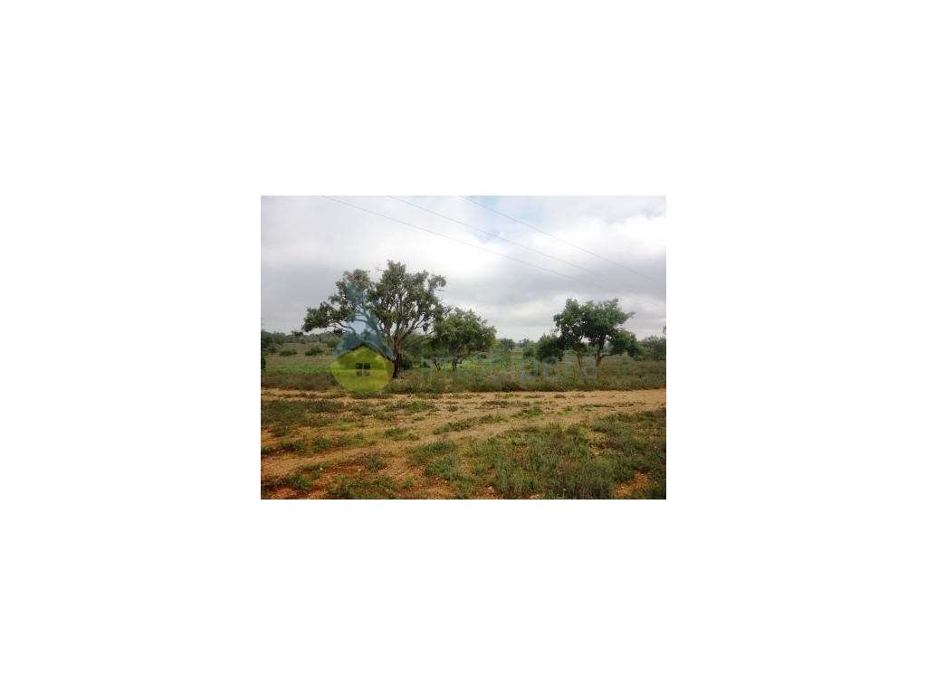 Terreno com 14.800 m2 em Alcantarilha - Grande imagem: 3/5