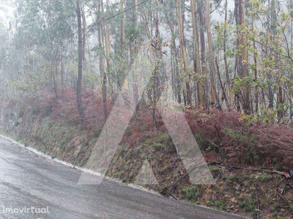 Terreno para construção de moradia em Sever do Vouga - Grande imagem: 3/17